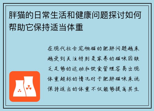 胖猫的日常生活和健康问题探讨如何帮助它保持适当体重